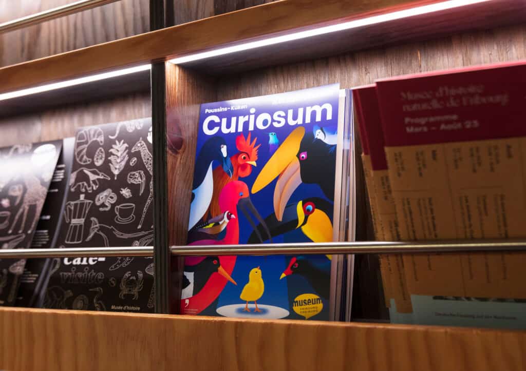 Küken Curiosum